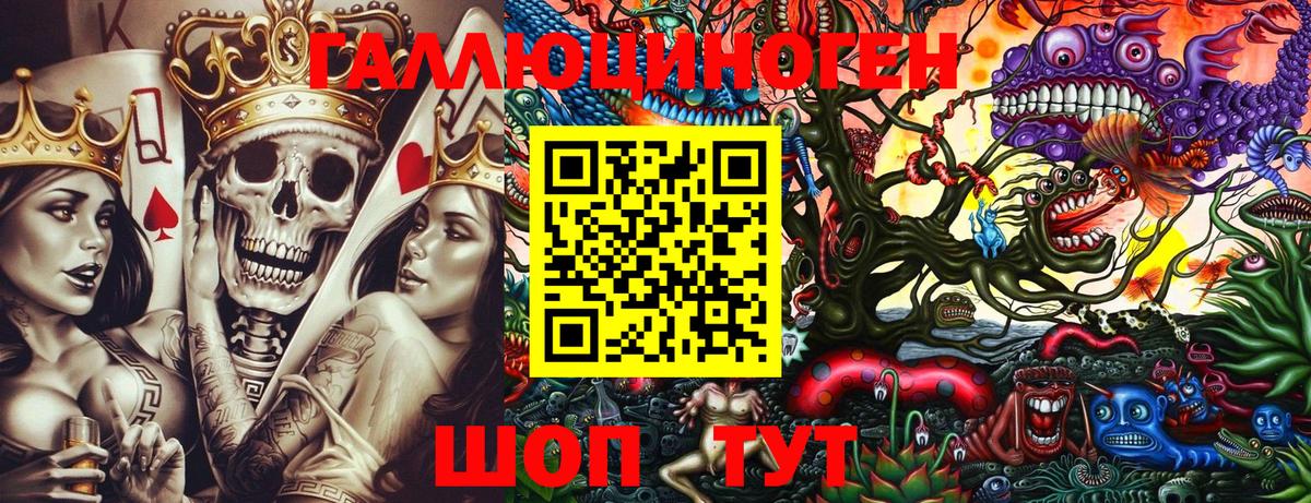 Псилоцибиновые грибы прущие грибы  Вход с VPN  Малоярославец 