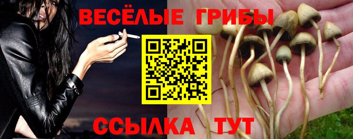 Галлюциногенные грибы Cubensis Малоярославец